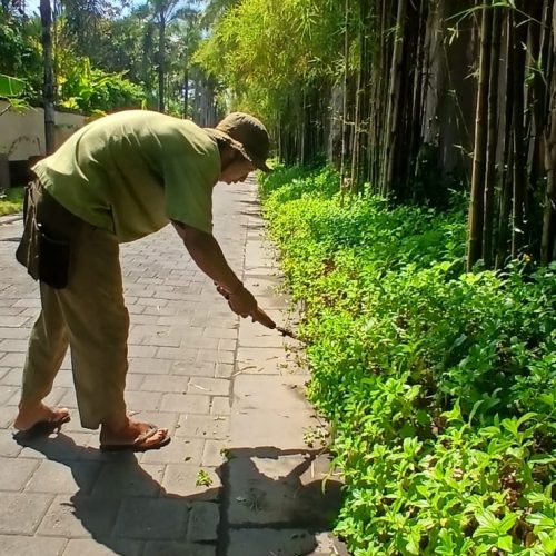 WhatsApp Image 2025-10-08 at 12.22.43_4c7ea334