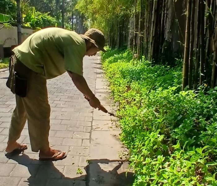 WhatsApp Image 2025-10-08 at 12.22.43_4c7ea334