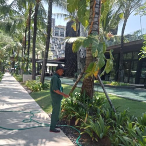 WhatsApp Image 2025-10-08 at 12.22.43_7534bf8d