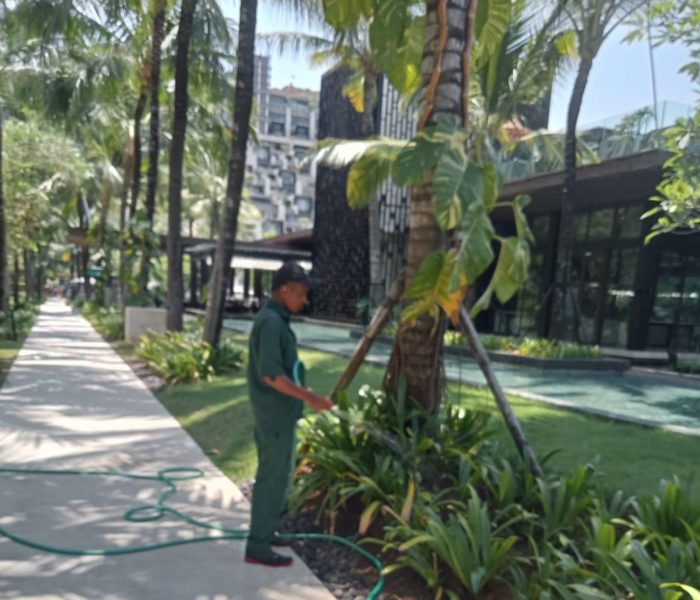 WhatsApp Image 2025-10-08 at 12.22.43_7534bf8d