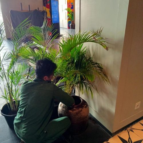 WhatsApp Image 2025-10-08 at 12.22.43_c783e4da