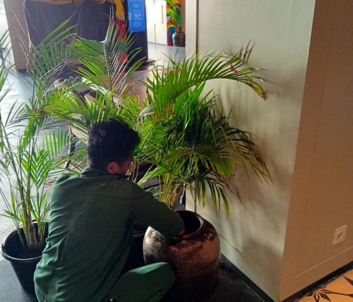 WhatsApp Image 2025-10-08 at 12.22.43_c783e4da