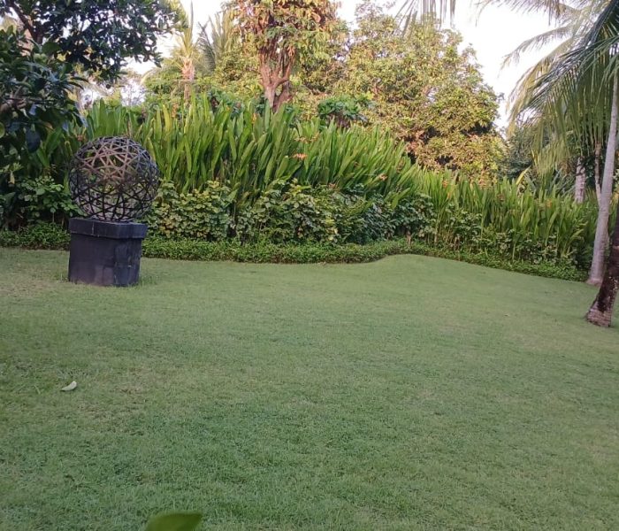 WhatsApp Image 2025-10-08 at 12.22.44_3186ff01